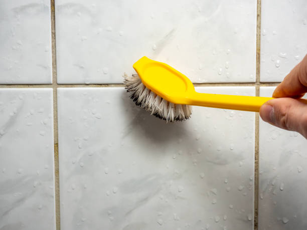Best Mold Removal Specialists  in Milton, NY