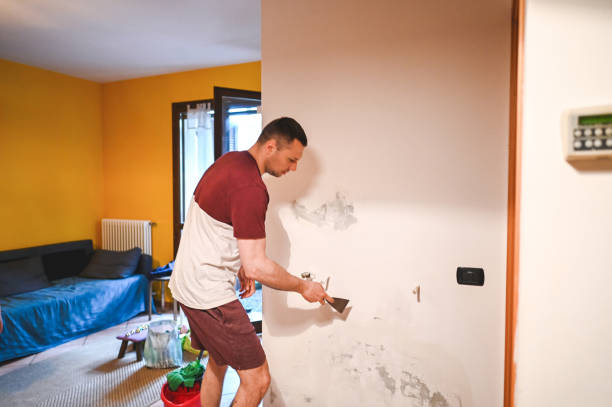 Best Office Mold Removal Services  in Milton, NY